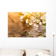 Cherry Tree Branch Over the Water Wall Mural
