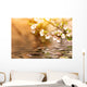 Cherry Tree Branch Over the Water Wall Mural