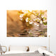 Cherry Tree Branch Over the Water Wall Mural