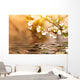 Cherry Tree Branch Over the Water Wall Mural