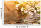 Cherry Tree Branch Over the Water Wall Mural