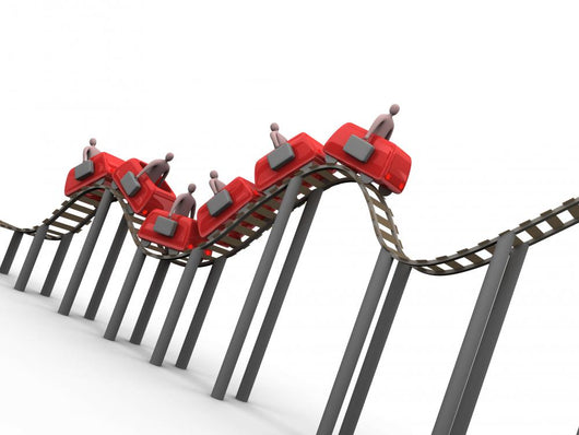 business rollercoaster Wall Decal