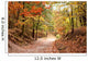 Autumn Landscape Wall Mural
