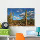 Sonoran Desert Landscape and