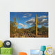 Sonoran Desert Landscape and