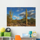 Sonoran Desert Landscape and