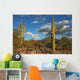 Sonoran Desert Landscape and