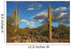 Sonoran Desert Landscape and