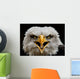 Screaming Eagle Wall Mural