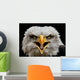 Screaming Eagle Wall Mural