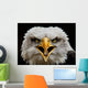 Screaming Eagle Wall Mural