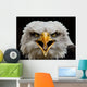 Screaming Eagle Wall Mural