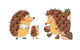 Family Fun Hedgehogs Vector