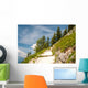 Paths to Clouds Wall Mural