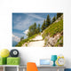 Paths to Clouds Wall Mural