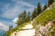 Paths to Clouds Wall Mural