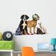 Group Patriotic Dogs and