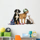 Group Patriotic Dogs and