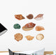Shells Illustration Seashells Wall Decal