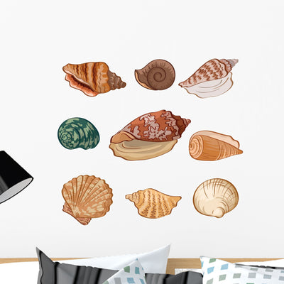 Shells Illustration Seashells Wall Stickers shown on a wall