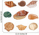 Shells Illustration Seashells Wall Decal