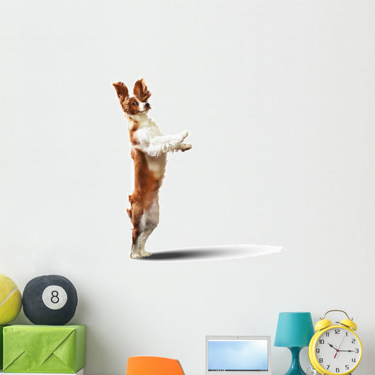 Funny Dog Portrait