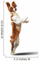 Funny Dog Portrait