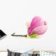 Magnolia Na Biaym Tle Wall Decal