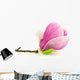 Magnolia Na Biaym Tle Wall Decal