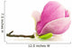 Magnolia Na Biaym Tle Wall Decal
