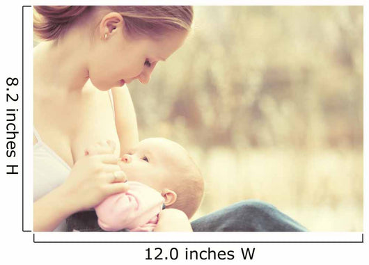 Mother Feeding Her Baby