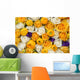 yellow and white bridal flowers Wall Mural