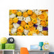 yellow and white bridal flowers Wall Mural