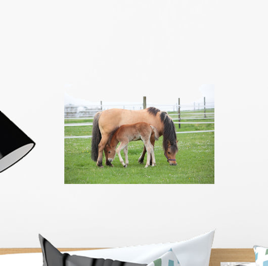 Young Foal with Mother