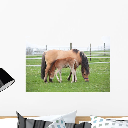 Young Foal with Mother