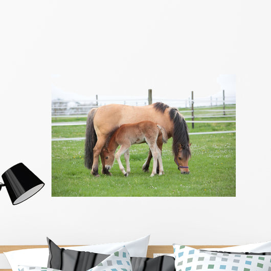 Young Foal with Mother