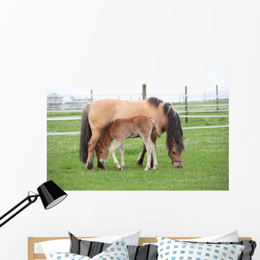 Young Foal with Mother
