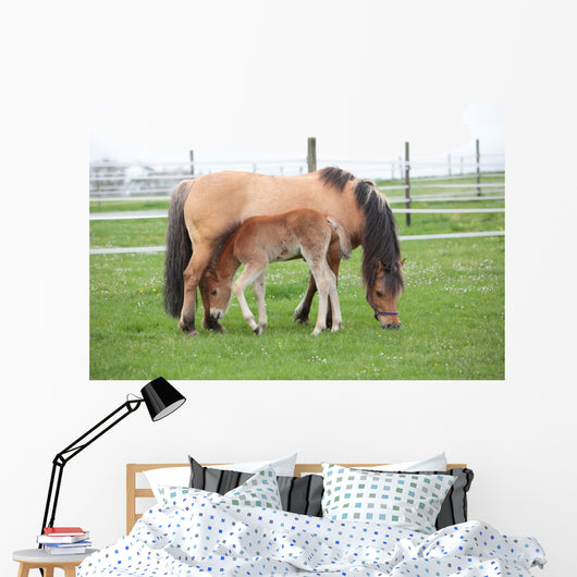 Young Foal with Mother
