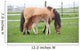 Young Foal with Mother