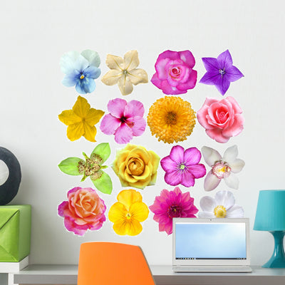 Sixteen Colorful Flowers Wall Stickers shown on a wall