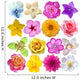 Sixteen Colorful Flowers Wall Decal
