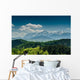 Mountains With Blue Sky And Forrest Scenery Wall Mural