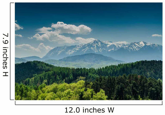 Mountains With Blue Sky And Forrest Scenery Wall Mural