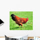 Rooster Wall Mural