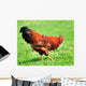 Rooster Wall Mural