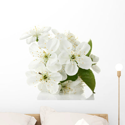 Beautiful Cherry Blossom Wall Decal shown on a wall