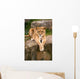 Lioness