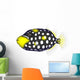 Clown Triggerfishes