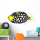 Clown Triggerfishes