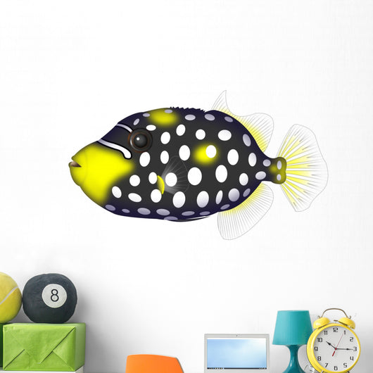 Clown Triggerfishes